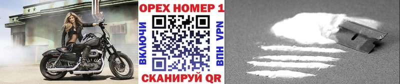 Наркота Суджа МЕГА ссылки  МЕФ  ГАШИШ  Канабис 
