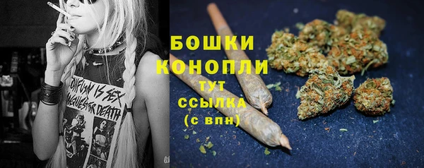ПСИЛОЦИБИНОВЫЕ ГРИБЫ Лабытнанги