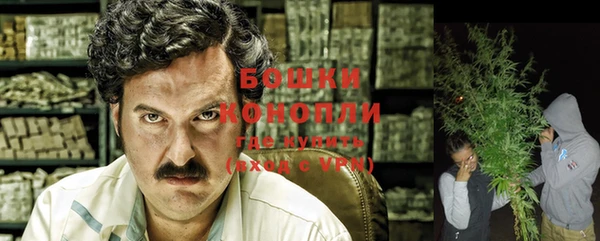 ECSTASY Ладушкин