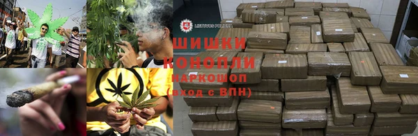 ПСИЛОЦИБИНОВЫЕ ГРИБЫ Лабытнанги