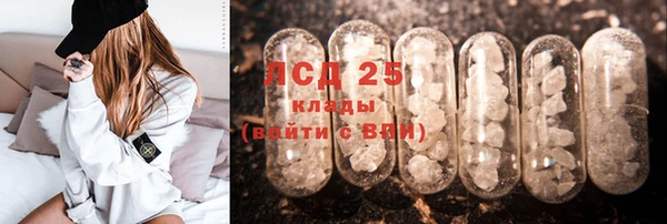 ПСИЛОЦИБИНОВЫЕ ГРИБЫ Лабытнанги
