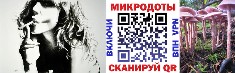 Псилоцибиновые грибы GOLDEN TEACHER  kraken маркетплейс  Суджа 