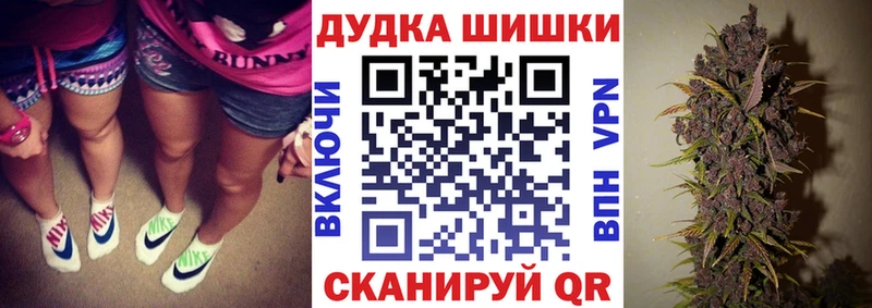 ОМГ ОМГ зеркало Суджа Каннабис сатива